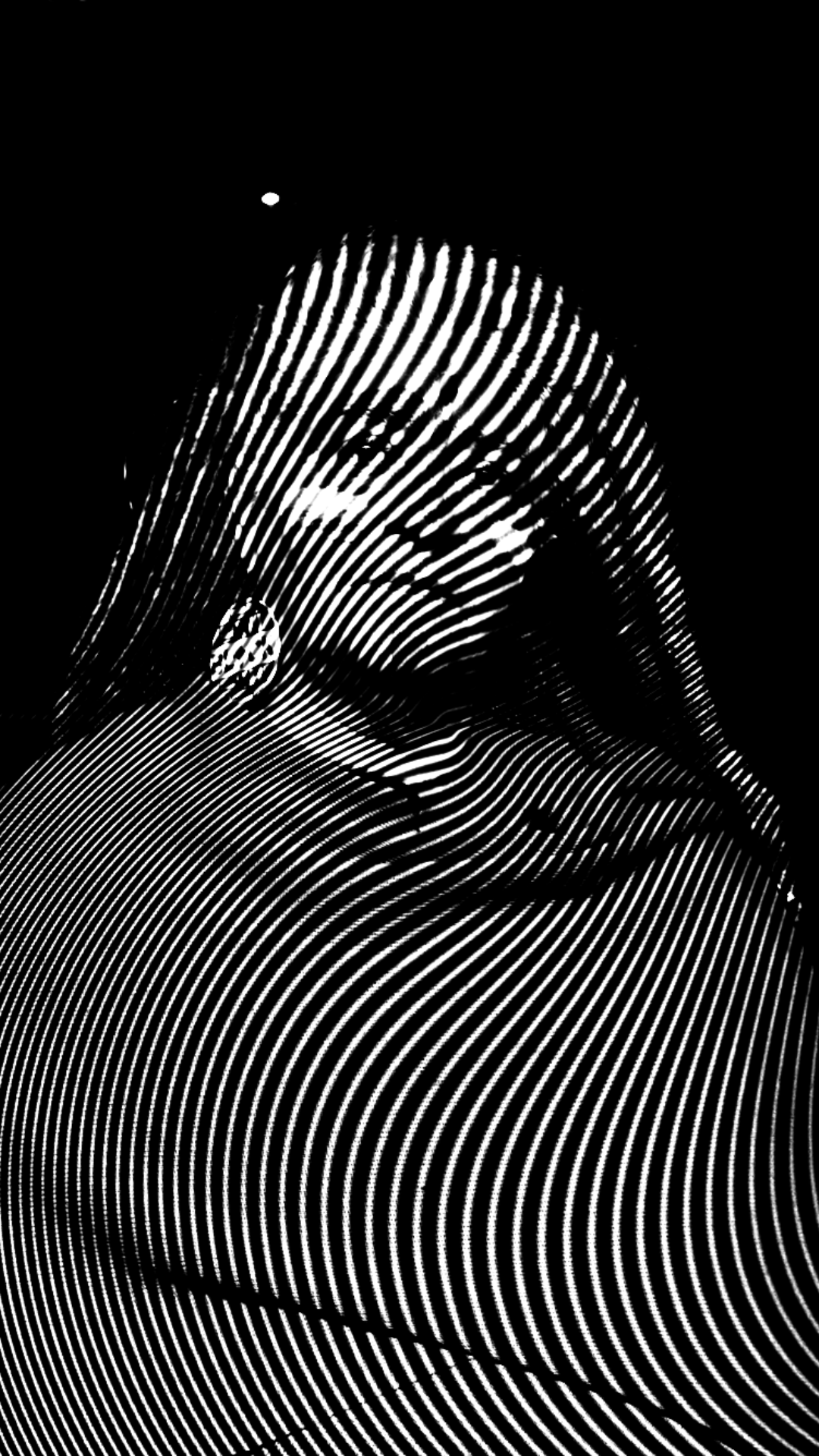 Wanda López Trelles presenta Gladys Flores entrevista sobre el proceso de creación de Hain, enlazadores de energías. Realizada en el marco del Festival Internacional de Cine de Derechos Humanos de Buenos Aires 2024.